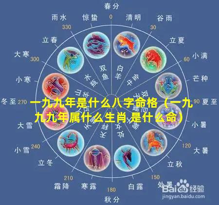 一九九年是什么八字命格（一九九九年属什么生肖 是什么命）